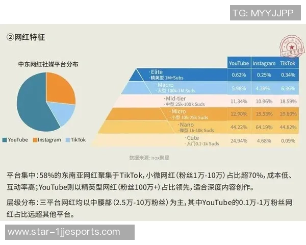 数据分析在Instagram平台上的用户意识与行为表现研究